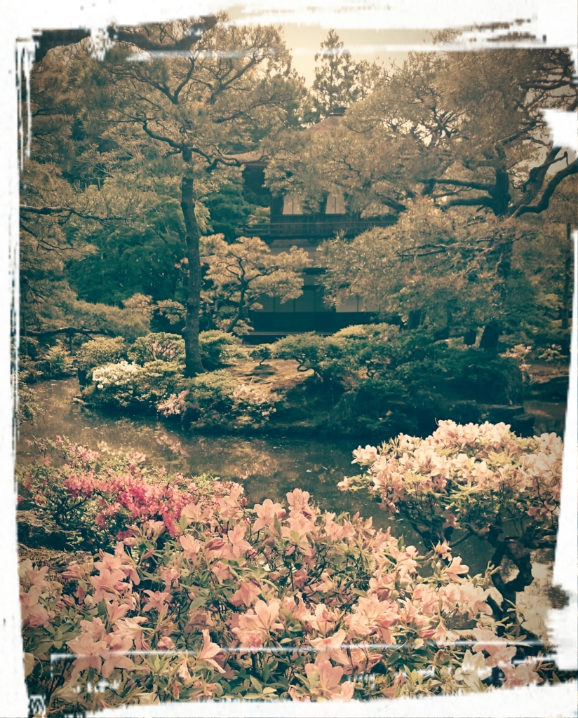 f:id:mi05:20160506165601j:plain f:id:mi05:20160506165601j:plain