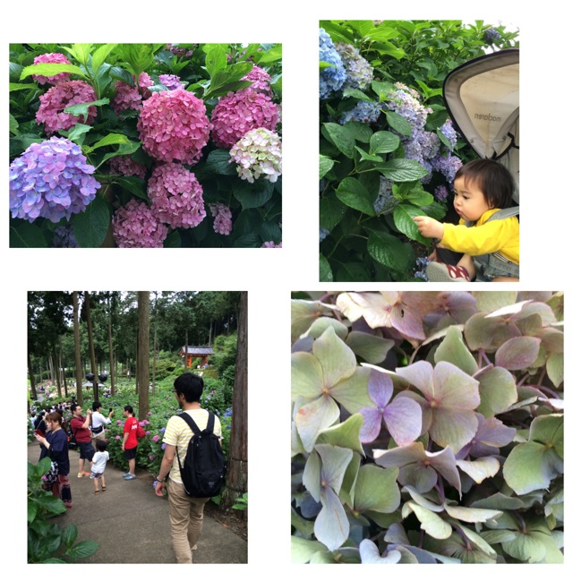 f:id:mica_ueda:20150704114534j:plain f:id:mica_ueda:20150704114534j:plain