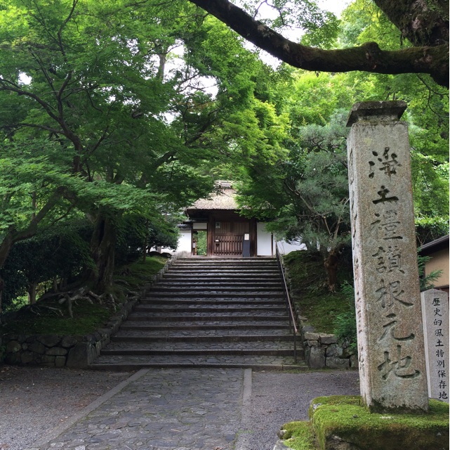 f:id:mica_ueda:20150717112033j:plain f:id:mica_ueda:20150717112033j:plain
