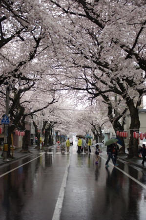 f:id:micarom:20110430155438j:image f:id:micarom:20110430155438j:image