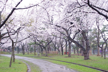f:id:micarom:20110430165233j:image f:id:micarom:20110430165233j:image