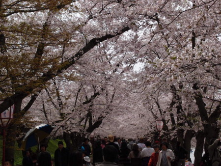 f:id:micarom:20110503121833j:image f:id:micarom:20110503121833j:image