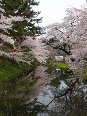 f:id:micarom:20110503125251j:image f:id:micarom:20110503125251j:image