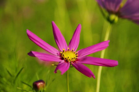f:id:micarom:20120917165005j:image f:id:micarom:20120917165005j:image