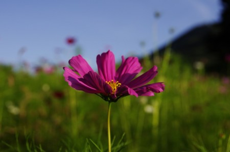 f:id:micarom:20120917165340j:image f:id:micarom:20120917165340j:image