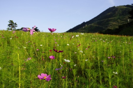 f:id:micarom:20120917165531j:image f:id:micarom:20120917165531j:image
