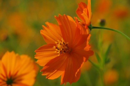 f:id:micarom:20120917171721j:image f:id:micarom:20120917171721j:image