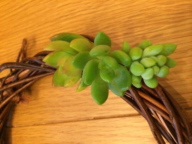 f:id:miccocco:20141122075731j:plain f:id:miccocco:20141122075731j:plain