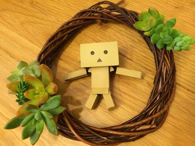 f:id:miccocco:20141122080351j:plain f:id:miccocco:20141122080351j:plain