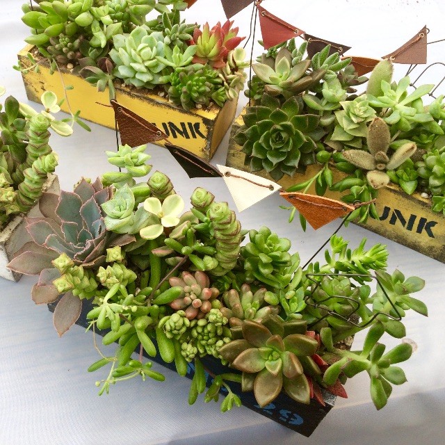 f:id:miccocco:20150714130407j:plain f:id:miccocco:20150714130407j:plain