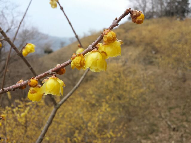f:id:michi0105:20150225021528j:image f:id:michi0105:20150225021528j:image