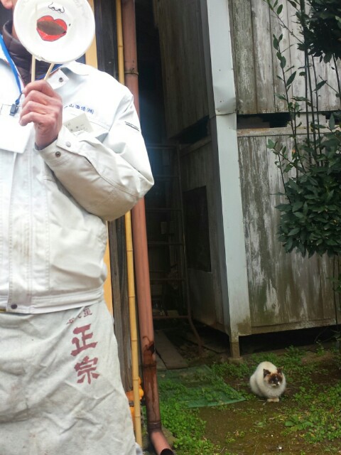 f:id:michi0105:20150307223259j:image f:id:michi0105:20150307223259j:image