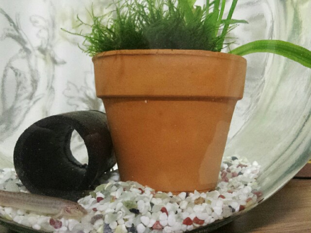 f:id:michi0105:20150611101059j:image f:id:michi0105:20150611101059j:image