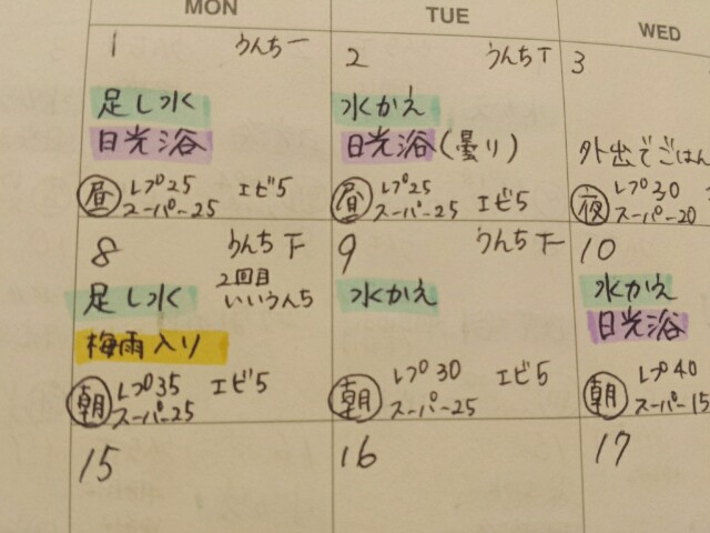 f:id:michi0105:20150611190451j:image f:id:michi0105:20150611190451j:image