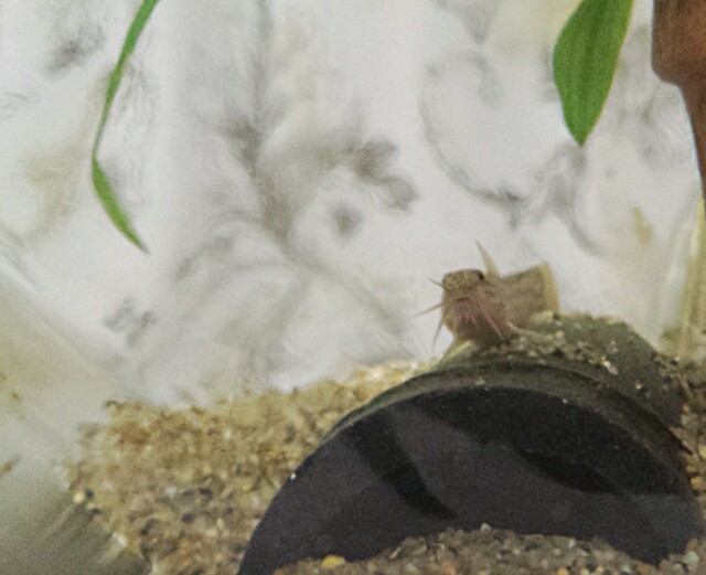 f:id:michi0105:20150812203406j:image f:id:michi0105:20150812203406j:image