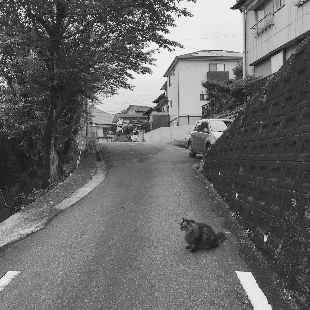 f:id:michibysab:20160507164206j:image f:id:michibysab:20160507164206j:image