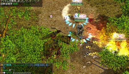 f:id:midnightmoon:20060410073612j:image f:id:midnightmoon:20060410073612j:image