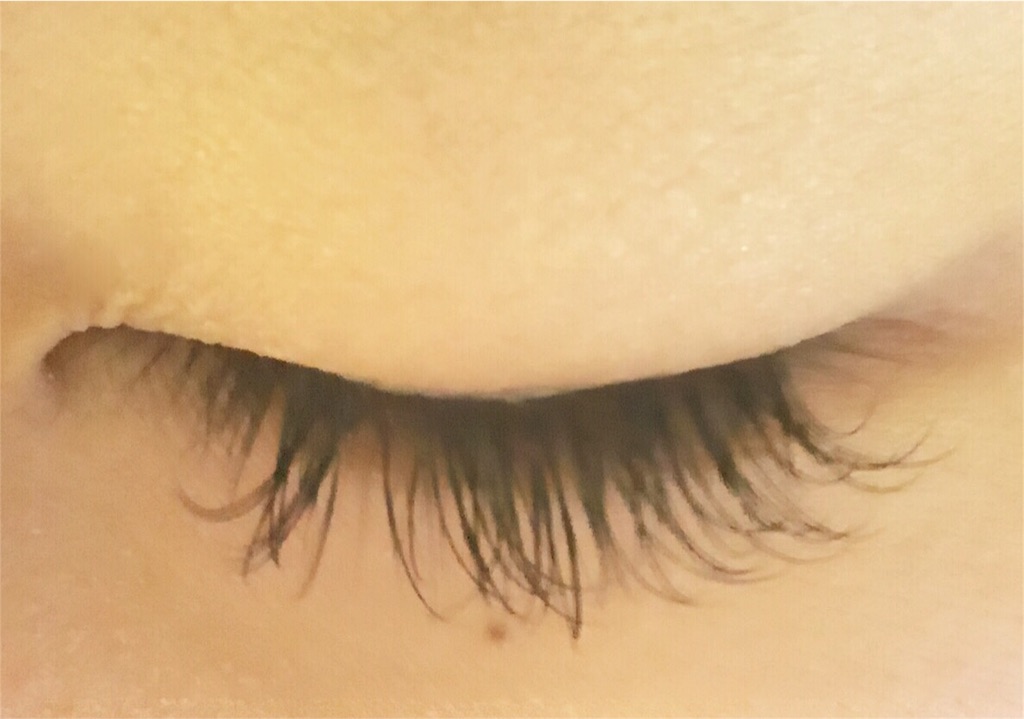 f:id:midori32:20151031192405j:image f:id:midori32:20151031192405j:image