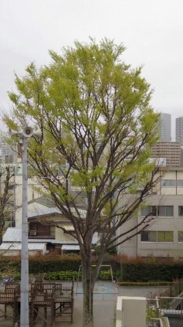 f:id:midtokyo:20150405233019j:image f:id:midtokyo:20150405233019j:image