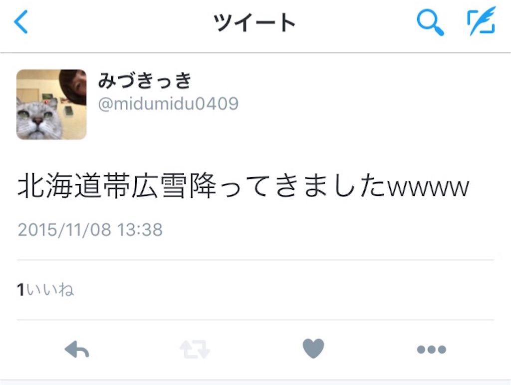 f:id:midumidumidudu:20151109160337j:image f:id:midumidumidudu:20151109160337j:image