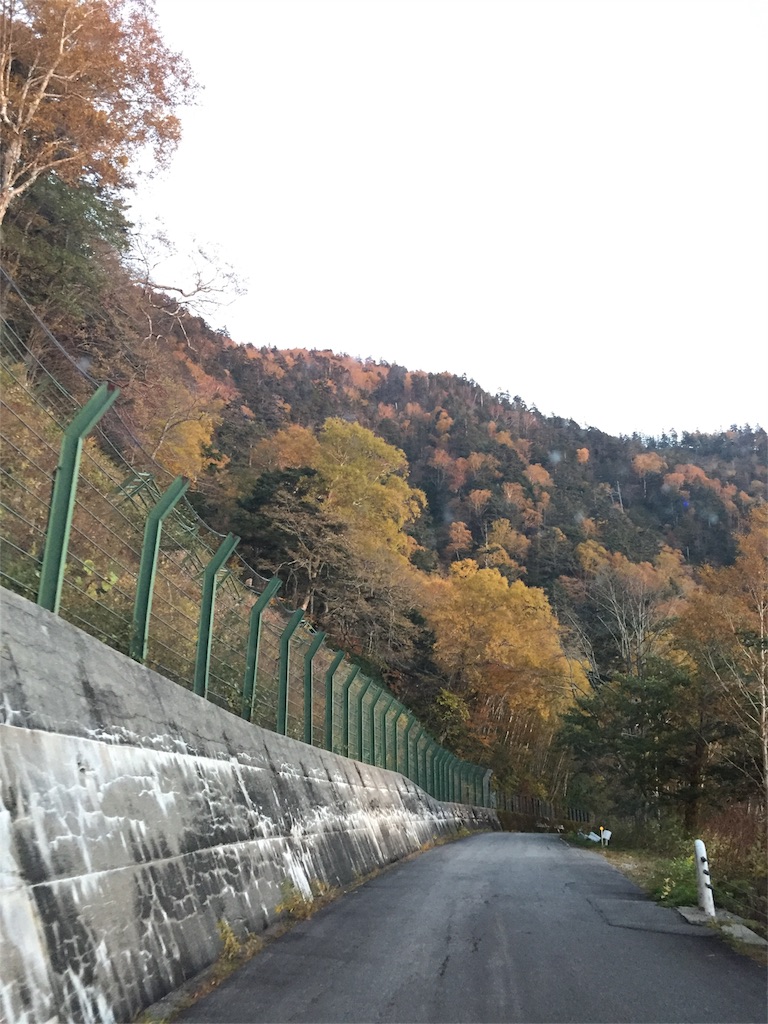 f:id:midumidumidudu:20151110081328j:image f:id:midumidumidudu:20151110081328j:image