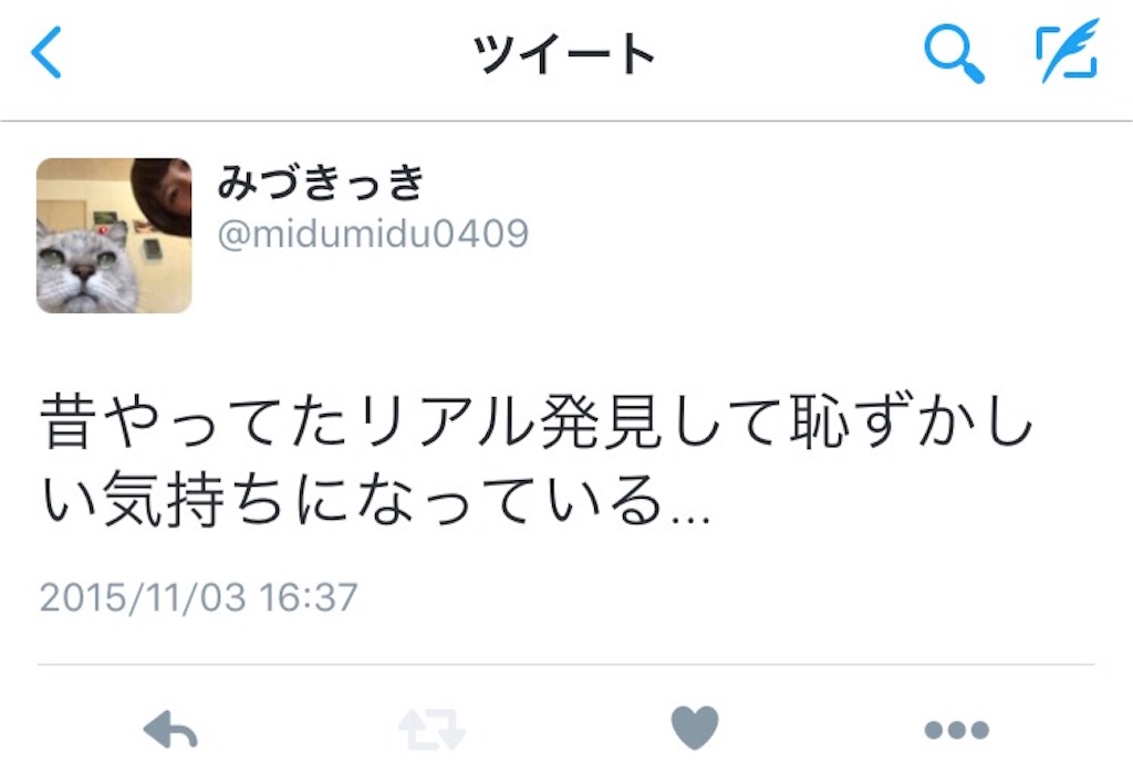 f:id:midumidumidudu:20151111164712j:image f:id:midumidumidudu:20151111164712j:image