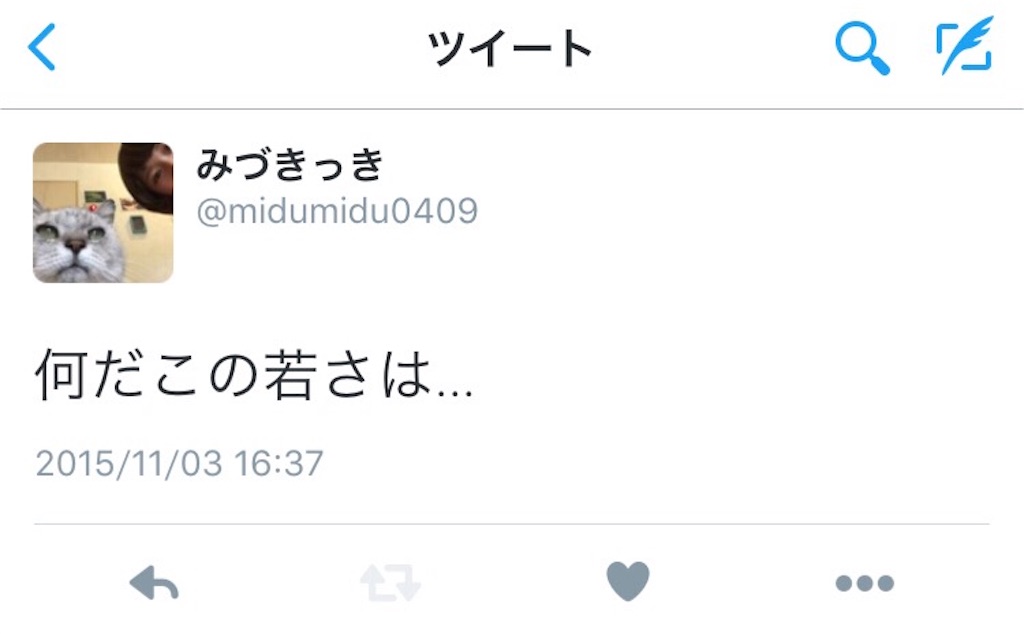 f:id:midumidumidudu:20151111164718j:image f:id:midumidumidudu:20151111164718j:image