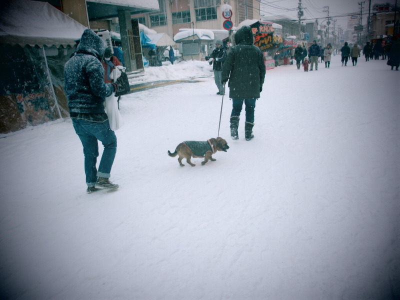 f:id:mifasorashido:20120430190417j:image f:id:mifasorashido:20120430190417j:image