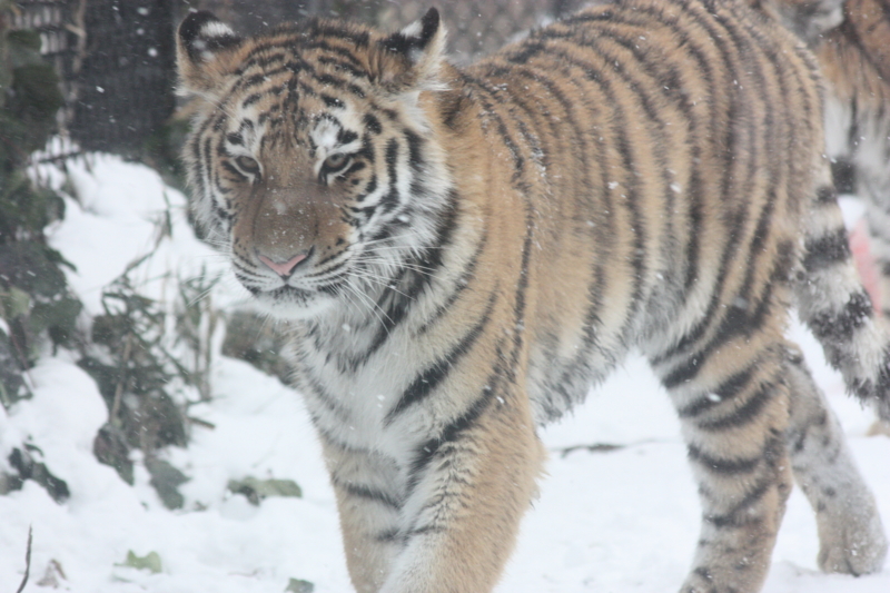 f:id:mifasorashido:20120430190519j:image f:id:mifasorashido:20120430190519j:image