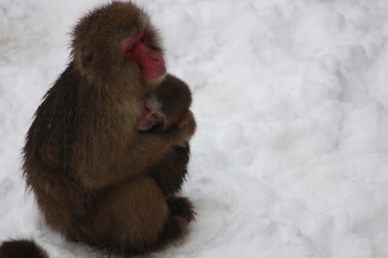 f:id:mifasorashido:20120430190617j:image f:id:mifasorashido:20120430190617j:image