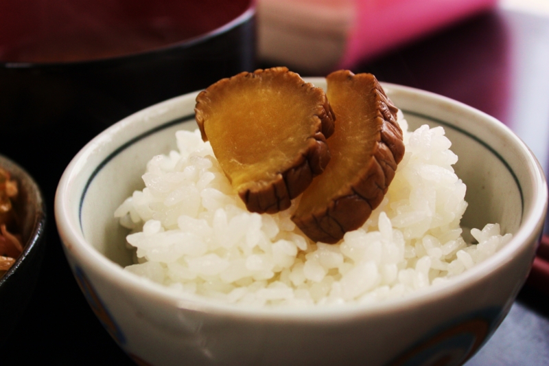 f:id:mifasorashido:20120510084500j:image f:id:mifasorashido:20120510084500j:image