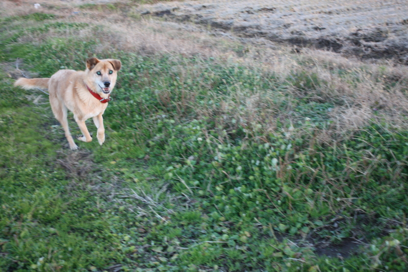 f:id:mifasorashido:20120529224936j:image f:id:mifasorashido:20120529224936j:image