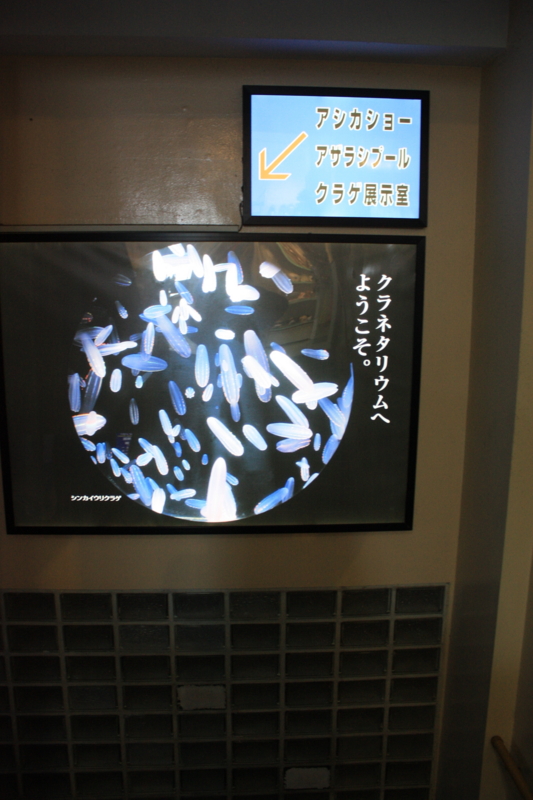 f:id:mifasorashido:20130223220735j:image