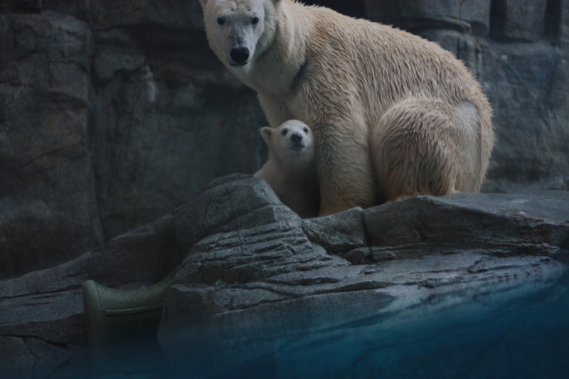 f:id:mifasorashido:20130510212906j:image f:id:mifasorashido:20130510212906j:image