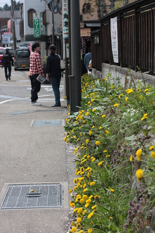 f:id:mifasorashido:20130512211630j:image