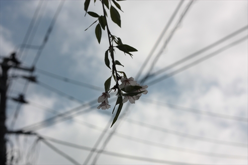 f:id:mifasorashido:20130512211631j:image