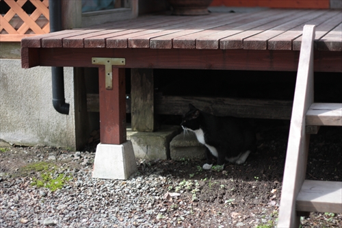 f:id:mifasorashido:20130512211645j:image