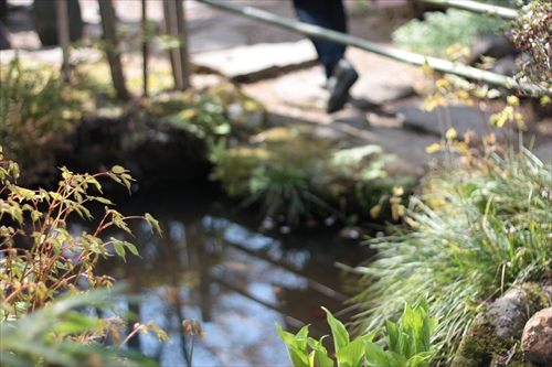 f:id:mifasorashido:20130512211653j:image