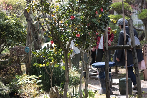 f:id:mifasorashido:20130512211654j:image