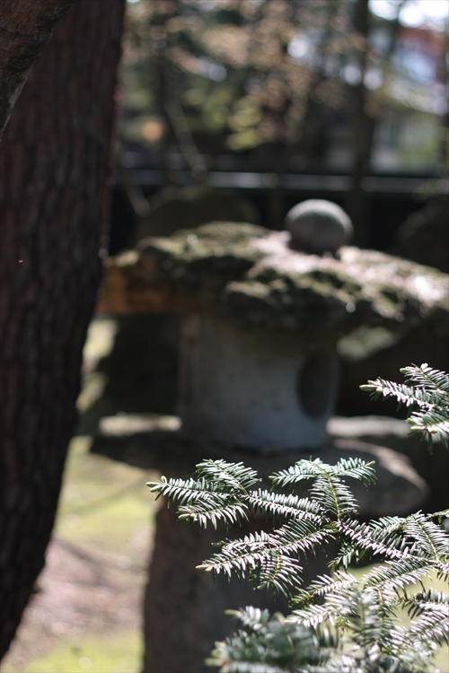 f:id:mifasorashido:20130512211706j:image