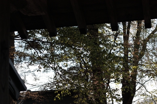 f:id:mifasorashido:20130512211957j:image