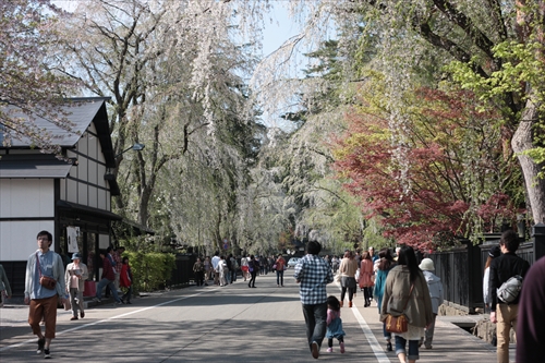 f:id:mifasorashido:20130512212105j:image