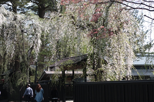 f:id:mifasorashido:20130512212106j:image