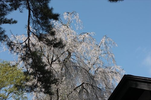 f:id:mifasorashido:20130512212116j:image