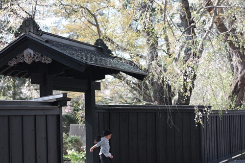 f:id:mifasorashido:20130512212122j:image