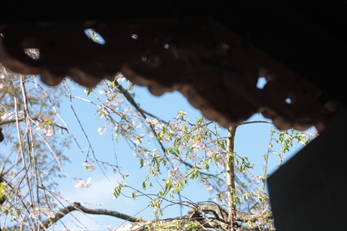 f:id:mifasorashido:20130512212126j:image