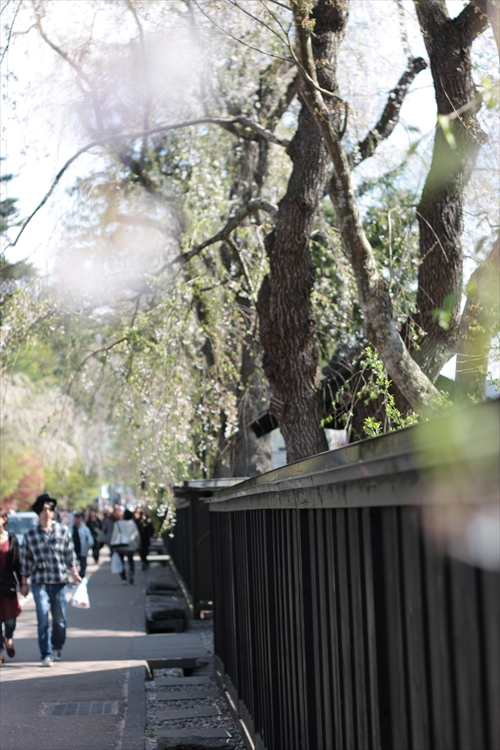 f:id:mifasorashido:20130512212129j:image