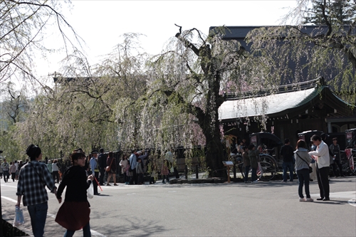 f:id:mifasorashido:20130512212130j:image