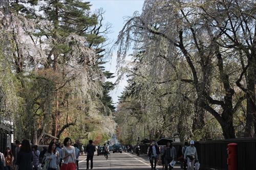 f:id:mifasorashido:20130512212131j:image