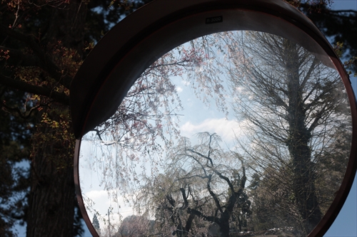 f:id:mifasorashido:20130512212133j:image